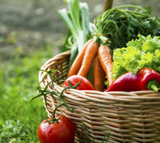 Basket of vegetables